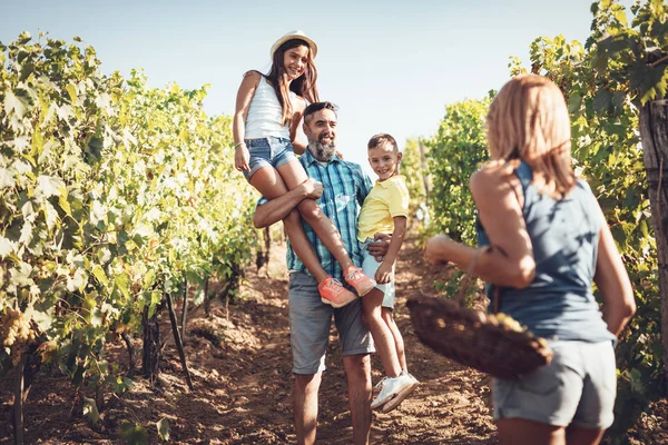 stock image young smiling family walking and having fun in vineyard