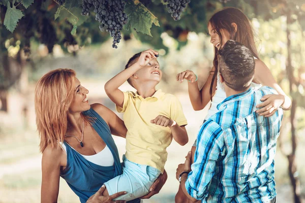 Familia Sonriente Joven Divirtiéndose Viñedo — Foto de Stock