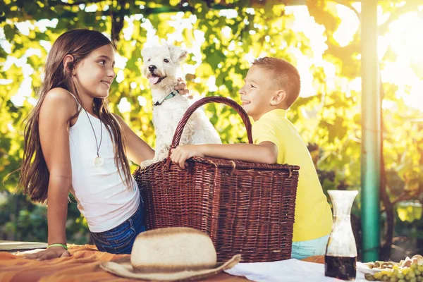 smiling brother and sister with dog having picnic at vineyard