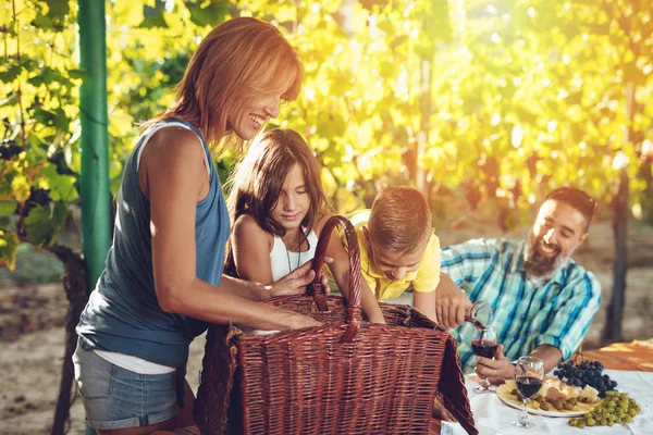 Giovane Famiglia Sorridente Facendo Picnic Vigna — Foto Stock