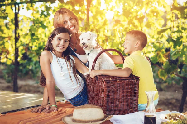 Madre Sorridente Bambini Con Cane Che Fanno Picnic Vigna — Foto Stock