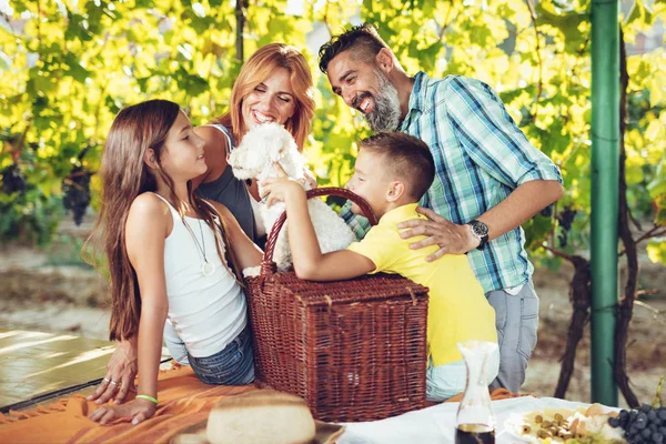 Giovane Famiglia Sorridente Facendo Picnic Vigna — Foto Stock