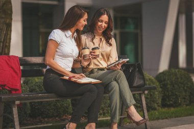 İş kadınları, dijital tablet kullanırken ve tek kullanımlık kahve fincanlarını tutarken ofis parkında oturuyorlar. İş ekibi danışmanlık yaparken birlikte çalışıyor..