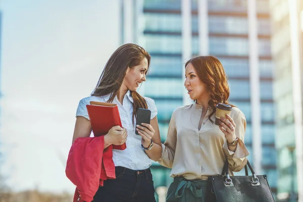 Twee Charmante Jonge Vrouwen Manager Accountant Communiceren Met Elkaar Terwijl — Stockfoto