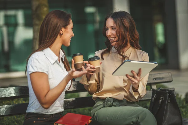 デジタルタブレットを使用し 使い捨てコーヒーカップを保持しながら ビジネス女性はオフィスパークに座っています ビジネスチームはコンサルティング中にオンラインで協力しています — ストック写真