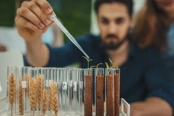 Universitätsbiologe Analysiert Pflanzenprobe Laborrohr Und Gießt Sie Mit Tropfen Nahrhafter — Stockfoto