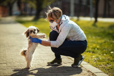 Tıbbi koruyucu maskeli bir kadın, grip salgını ve koronavirüs salgını sırasında şehrin sokaklarında sevgili küçük Shih Tzu köpeğiyle vakit geçiriyor..