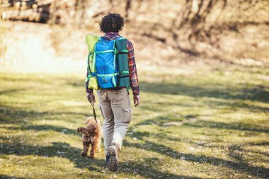 Mutlu gülümseyen yakışıklı adam sevimli köpeğiyle yürüyor güzel güneşli bir günde manzaranın tadını çıkarıyor..