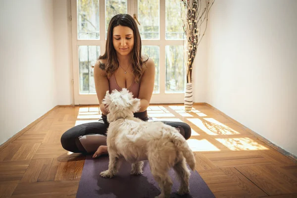 Young Woman Relaxing Her Sweetie Dog Pet Coronavirus Pandemic Doing — Stock Photo, Image