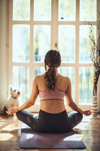 Zadní Pohled Mladou Ženu Dělat Lotus Jóga Pózu Relaxaci Obývacím — Stock fotografie