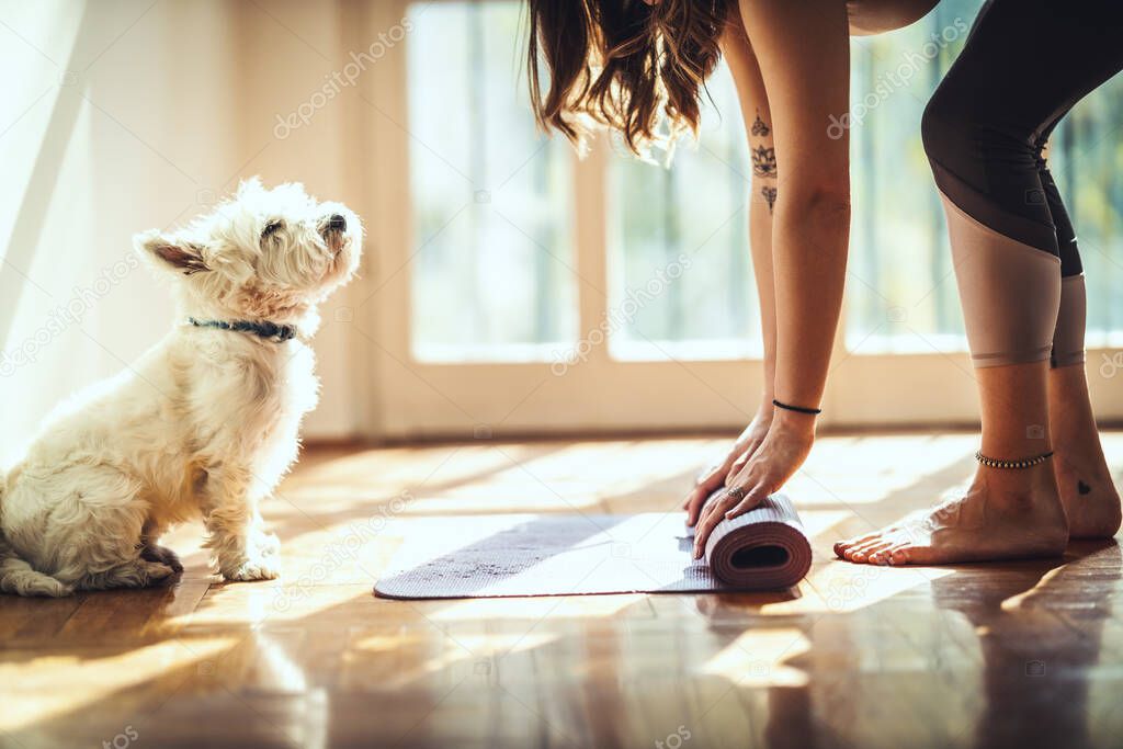 A beautiful young woman is rolling up exercise mat and preparing to do yoga. She is exercising on floor mat in morning sunshine at home supporting by her pet dog.