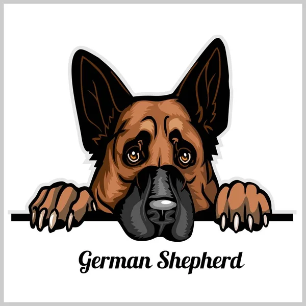 1 420 German Shepherd Cartoon Vector Images Free Royalty Free German Shepherd Cartoon Vectors Depositphotos