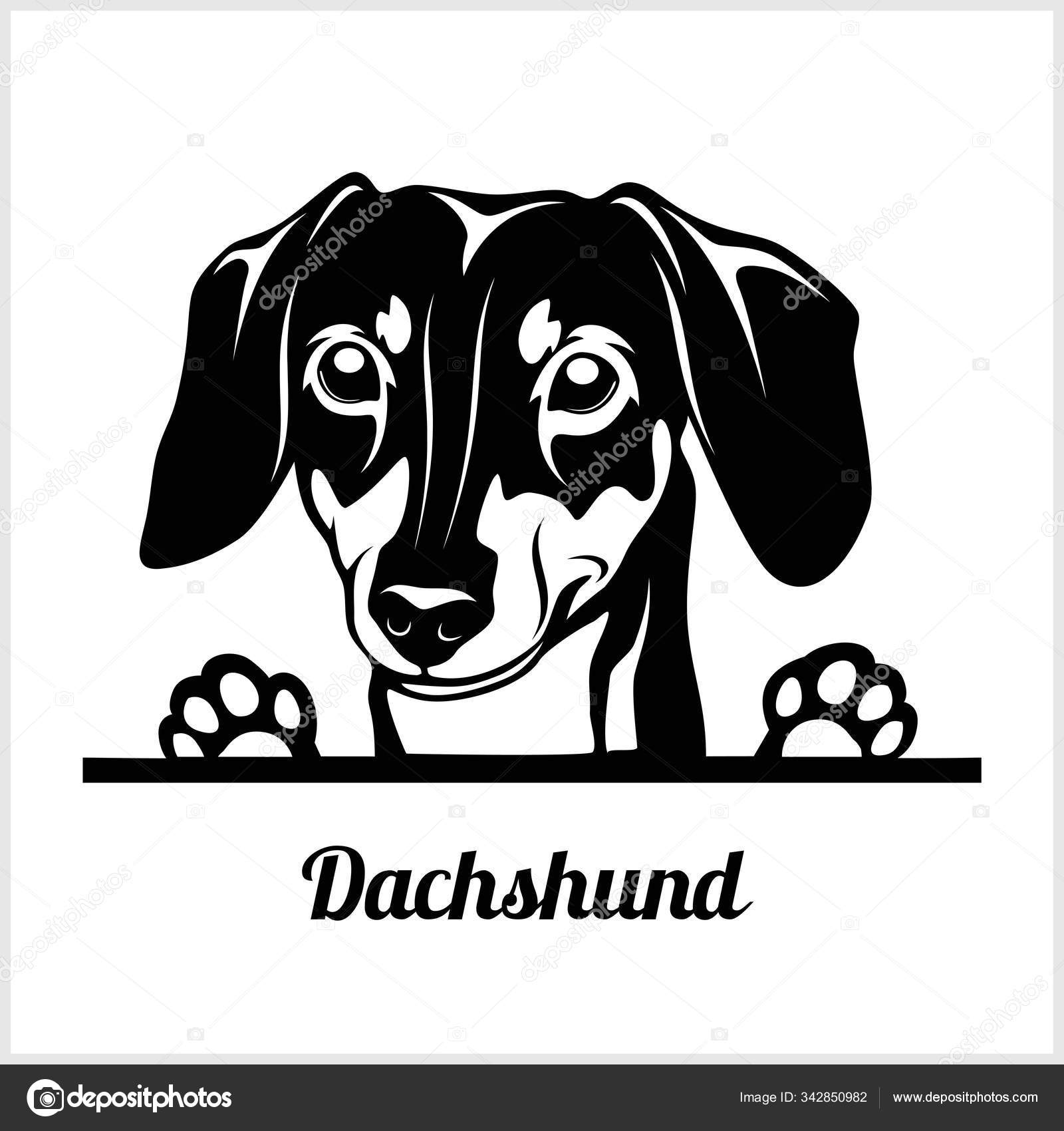 dach clipart