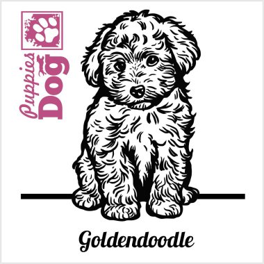 Goldendoodle Premium Vector Download For Commercial Use Format Eps Cdr Ai Svg Vector Illustration Graphic Art Design