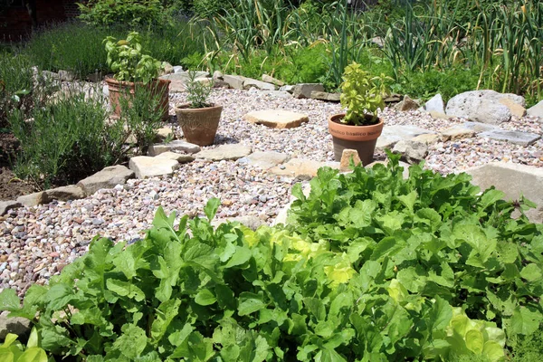 Umweltfreundlicher Landgarten — Stockfoto