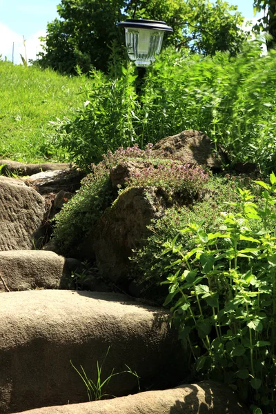 Garden composition with old sandstone stairs and aromatic herbs. — Stock Photo, Image