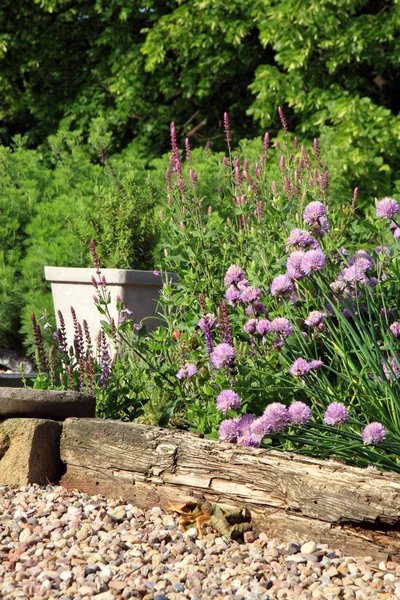 Ecofriendly home garden. — Stock Photo, Image