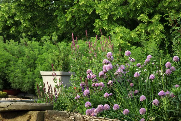 Miljövänliga hem trädgård. — Stockfoto