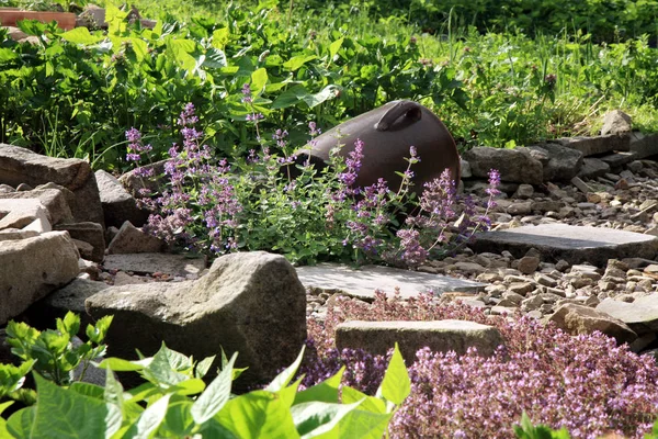 Land hem trädgård av rustik stil. — Stockfoto