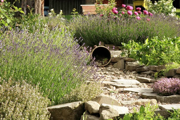 Land hem trädgård av rustik stil. — Stockfoto