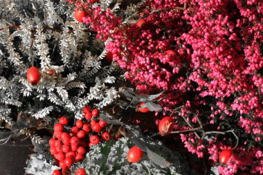 Heathers sonbahar çiçek siyah ve beyaz renk kırmızı çiçekli.