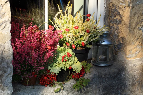 Heathers con repollo y linterna en la ventana. Cultivos de otoño . — Foto de Stock