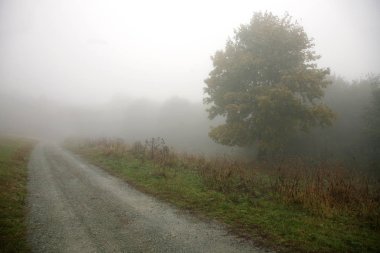 Ülke yol sise gidiyor. 
