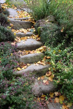 Eski kumtaşı merdiven ve aromatik otlar düşen yapraklarla kaplı