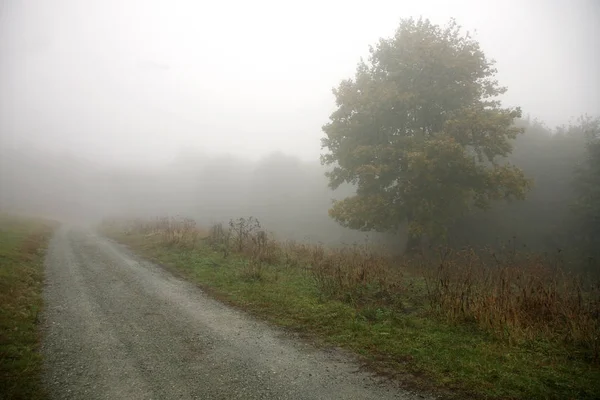 Ülke yol sise gidiyor. 