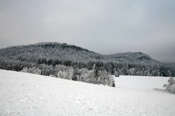 Пик Щелинец Вельки Облаках Зима Национальном Парке Столовая Гора Польша — стоковое фото