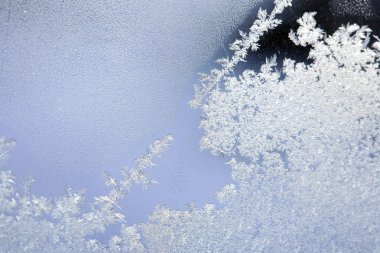 Buz kalıpları üzerinde güçlü frost pencerede. Çiçekler, çizgiler, kristaller, buz gül, soyut desen