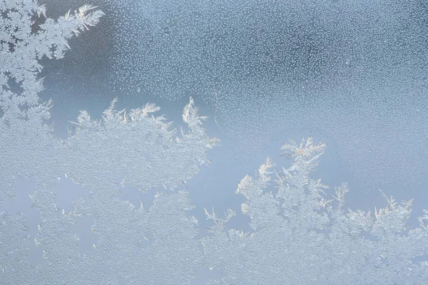 Eismuster Fenster Bei Starkem Frost Blumen Linien Kristalle Eisrose Abstrakte — Stockfoto