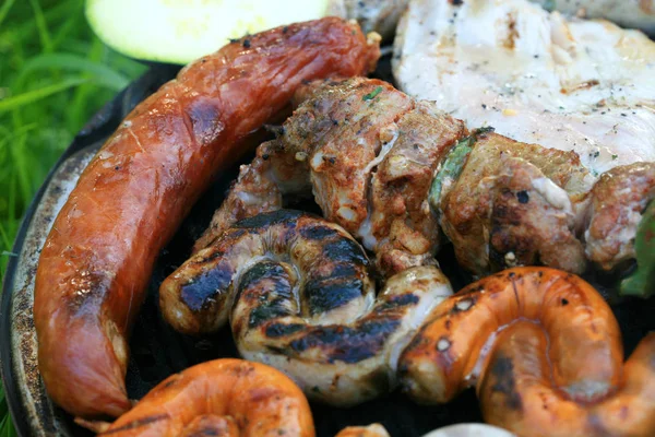 Conjunto Carnes Assadas Grelha Durante Piquenique Família Tempo Livre Relaxamento — Fotografia de Stock