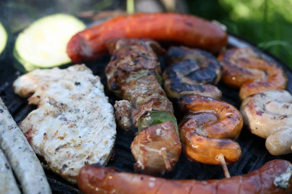 Set Meats Baked Grill Family Picnic Free Time Summer Relaxation — Stock Photo, Image