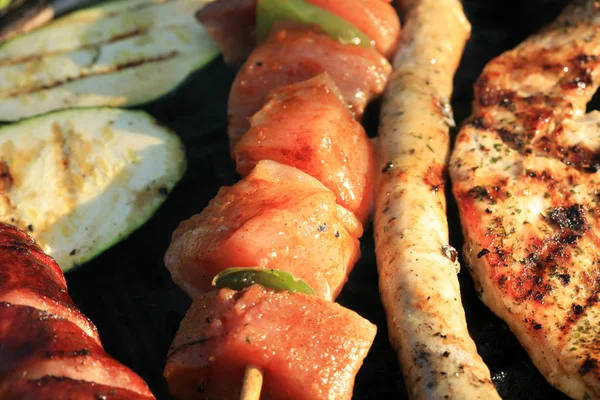 Conjunto Carnes Horneadas Parrilla Durante Picnic Familiar Tiempo Libre Relajación — Foto de Stock