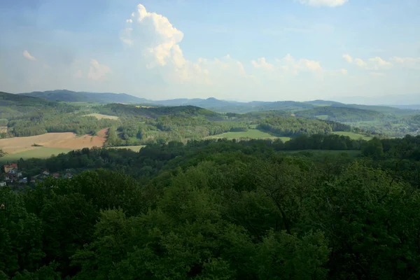 Ruinen Einer Mittelalterlichen Burg Alte Burg Mit Einem Turm Der — Stockfoto