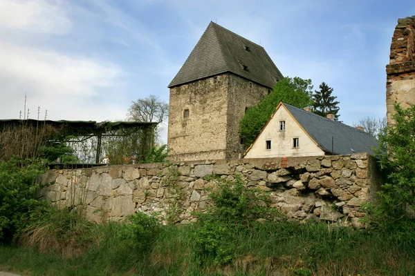 Torre Medieval Principescamente Residencial Siedlecin Famosa Por Sus Frescos Que — Foto de Stock