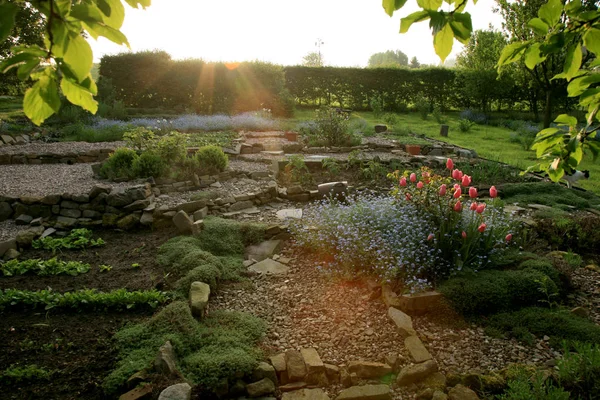 Jardin Potager Cultivé Selon Principe Permaculture Lever Soleil Dans Village — Photo