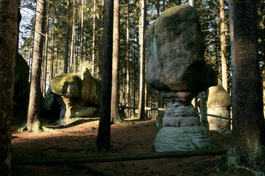 Rock Mantarları, Skalne Grzyby Masa Dağları 'ndaki ünlü kaya oluşumu (Gory Stolowe), Ulusal Park, popüler turizm merkezi, Polonya.