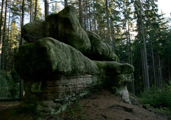 Mushrooms Rock Skalne Grzyby Famosa Formación Roca Las Montañas Mesa — Foto de Stock