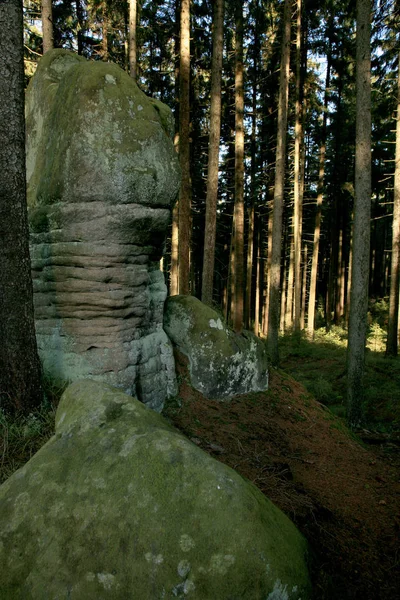 Rock Mushrooms Skalne Grzyby有名な岩の形成によって表山 ゴリーストロー 国立公園 人気の観光スポット ポーランド — ストック写真