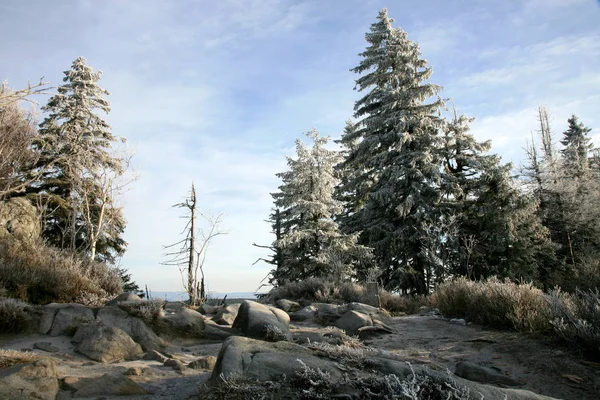 Naroznik Szczyt Widokiem Góry Stołowe Gory Stolowe Park Narodowy Popularna — Zdjęcie stockowe