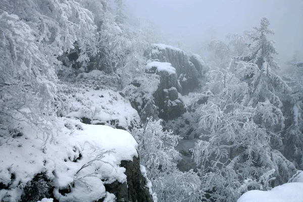 Όμορφο Χειμώνα Μια Άγρια Περιοχή Στα Βουνά Πίνακα Στην Πολωνία — Φωτογραφία Αρχείου