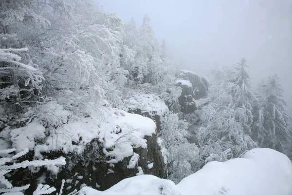 波兰桌山荒原上美丽的冬天 斯卡尔尼亚克山顶的积雪覆盖了树木 侵蚀了砂岩岩层 — 图库照片