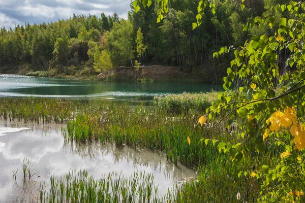 Orilla Del Lago Región Moscú — Foto de Stock