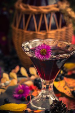 Hediyeler sonbahar mutfak tatlı aromatik içecek tentür chokeberry