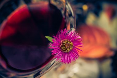 Aromatik alkol Kupası tentür chokeberry