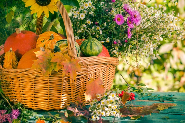 Otoño cesta cosecha jardín calabaza frutas colorido flor — Foto de Stock