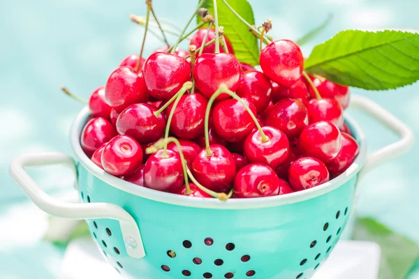 Свежий красный вишневый фрукт — стоковое фото