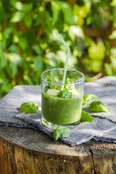 Fresh mousse cucumber celery basil — Stock Photo, Image